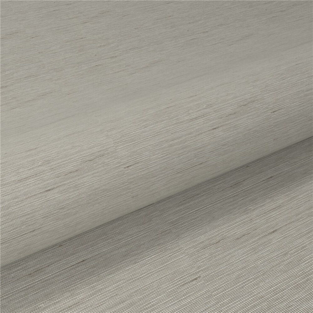 Mombassa Oyster - Imagen 3