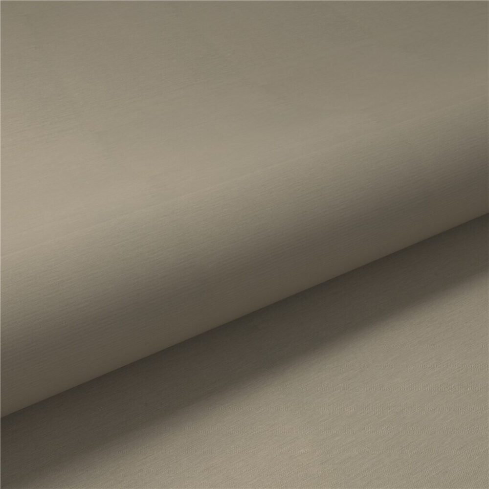 Esvedra Feather