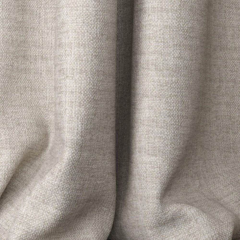 Motion 14-Fossil - Imagen 3