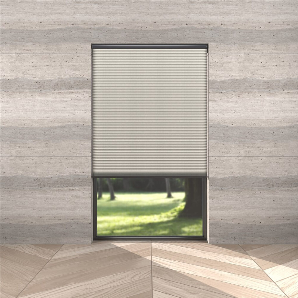 Rioja 45mm Transparente Dawn - Imagen 2